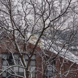 Upozorenje na niske temperature i pojavu poledice u Kragujevcu i Šumadiji 7