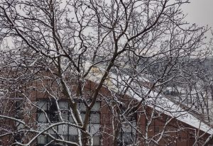 Upozorenje na niske temperature i pojavu poledice u Kragujevcu i Šumadiji 1