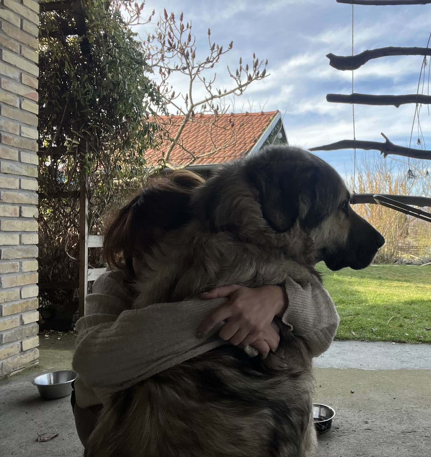 Otpor tek počinje: Dnevnik studentkinje Milice tokom napada na Filozofski fakultet u Novom Sadu 3