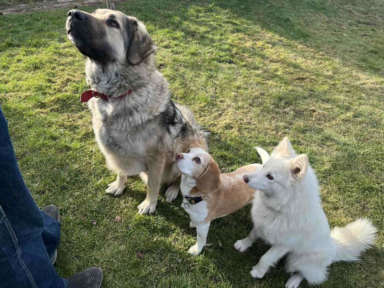 Otpor tek počinje: Dnevnik studentkinje Milice tokom napada na Filozofski fakultet u Novom Sadu 2
