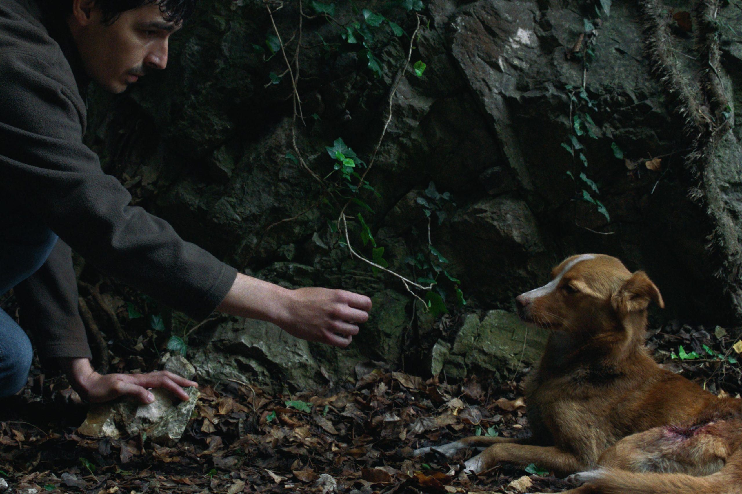 Film „Vetre, pričaj sa mnom“ Stefana Đorđevića od 12. februara u bioskopima širom Srbije 2