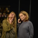 Predstava "Vrat od stakla" Jagoša Markovića stoti put na sceni JDP - a: Drama jedne građanske porodice kroz tri generacije 3