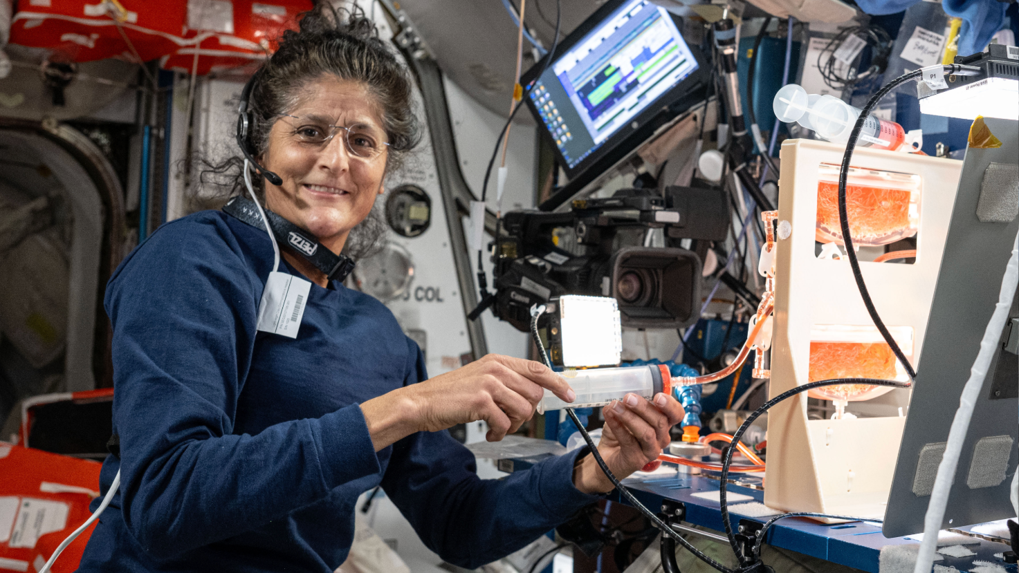 Umesto nekoliko dana, 'zaglavila' devet meseci u svemiru: Priča hrabre astronautkinje 3 Sunita Vilijams u svemirskoj letelici sa slušalicama na glavi i plastičnom cebi u ruci, ima plavu majicu, naočale, gleda u kameru i smeje se, oko nje su kablovi