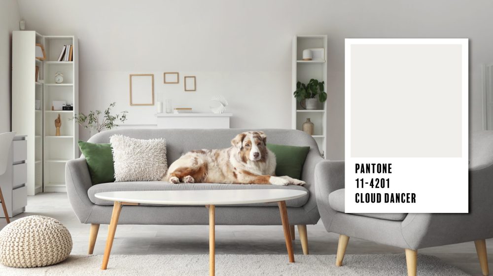 Ko diktira boju 2026. godine: Stručnjaci se ne slažu 23