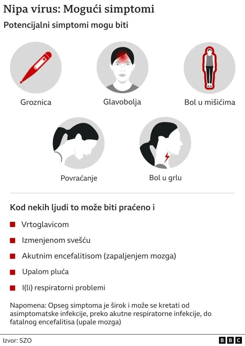 Šta je nipa virus i koliko je opasan 3 grafički prikaz virusa nipa, nipa virus, koji su simptomi nipa virusa