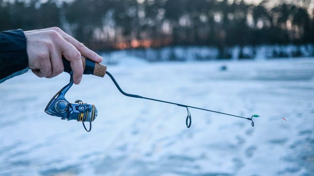 'Majstore, je l' grize?' 11