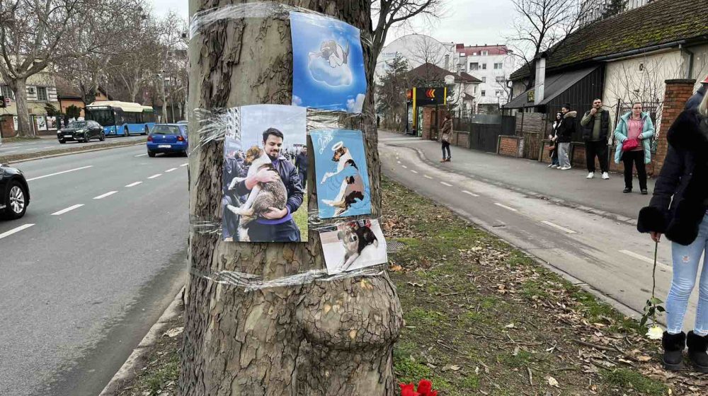 Skup u znak sećanja na psa Donu u Novom Sadu 9