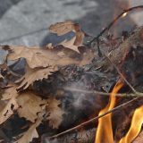 Veliki broj Nišlija na tradicionalnom paljenju badnjaka i lomljenju česnice 5