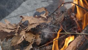 Veliki broj Nišlija na tradicionalnom paljenju badnjaka i lomljenju česnice 2