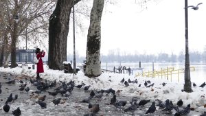 Zašto je snežni pokrivač postao retkost u Srbiji? 9