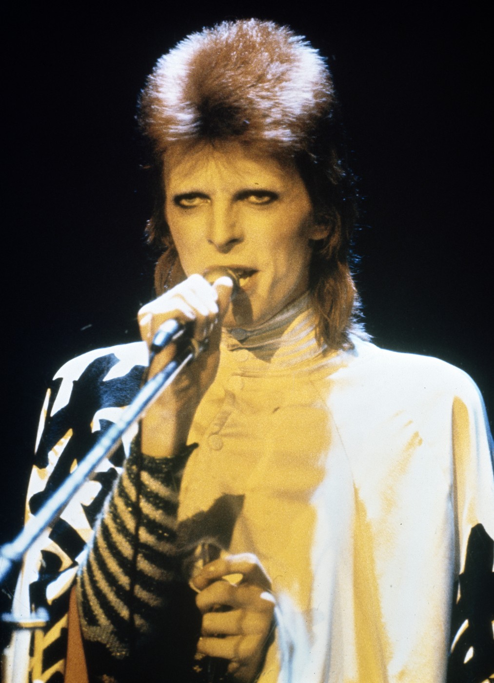 Dejvid Bouvi – zvezda koja nikada nije pala 2 Dejvid Bouvi – zvezda koja nikada nije pala 1