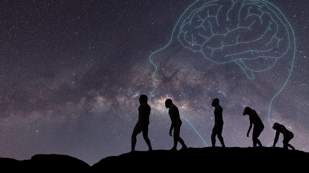 Evolucija je težak posao: O knjizi Roja Luisa "The Evolution Man, or How I Ate My Father" 1