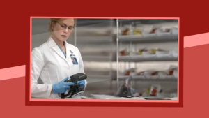 Iznenađujuće adaptacije i sveži junaci dolaze na male ekrane, uz zvezdane glumačke postave i poznate autore, navodi novinar, pisac, scenarista, i filmski kritičar Jurica Pavičić za Jutarnji list.