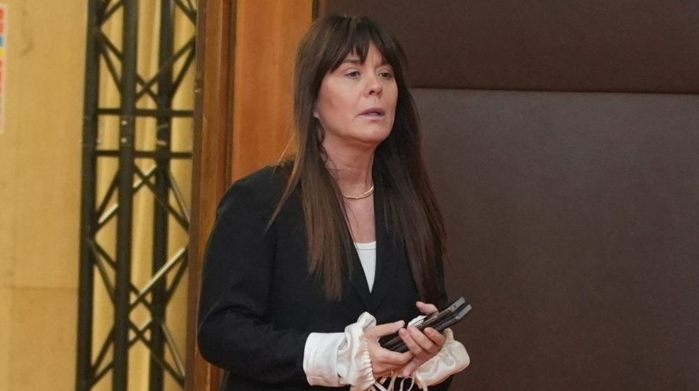 Paradoks: Savetnica Vučića Suzana Vasiljević dovodi strane medije, a tvrdi da su nezavisni 7