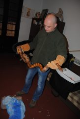 02 - Rukovalac divljim životinjama PMF Kragujevc Šta i kako prilikom susreta sa divljim životinjama u urbanim sredinama: Studijski program PMF-a Kragujevac (FOTO) 2