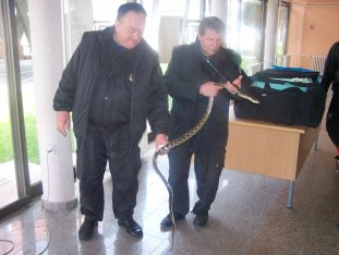 05 - Rukovalac divljim životinjama PMF Kragujevc Šta i kako prilikom susreta sa divljim životinjama u urbanim sredinama: Studijski program PMF-a Kragujevac (FOTO) 5