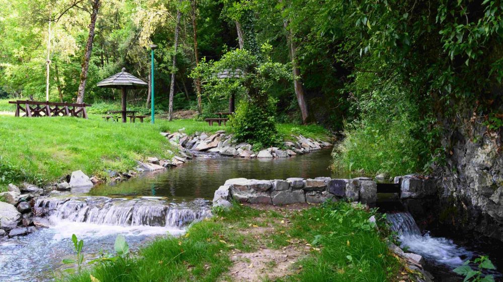 Mladi istraživači Srbije: Otvoren konkurs EKO-SISTEM za zaštitu životne sredine 6