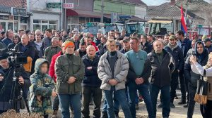 Paradoks srpske poljoprivrede: Zašto su poljoprivrednici na ulicama i pored rekordnih izdvajanja iz budžeta? 7