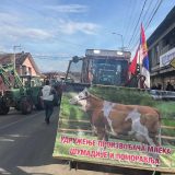 Proizvođači mleka nastavili blokadu puta u Mrčajevcima 6