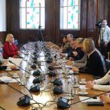 Sednica Odbora za spoljne poslove o Bliskom istoku zatvorena za javnost 1