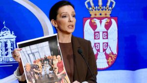 Tepić (SSP) pozvala TOK da ispita Vučevićeva putovanja privatnim avionima 13