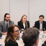 Ana Brnabić u diplomatskoj turneji: Otvaram kanal komunikacije sa Danskom, a uskoro i sa Finskom 1