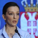 Marinika Tepić: Živimo u kompletnom gangsteraju 6