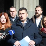 Jerinić: Pitanje je zašto je Ustavni sud u relativno kratkom roku reagovao na zahtev opozicije za ocenu ustavnosti "Mrdićevih zakona" 4