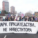 Beograđani okupljeni kod ograde budućeg gradilišta akvarijuma, policija sprečava prilazak 7