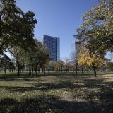 Beogradski biciklisti u vožnji do Ušća, traže da park ostane mesto rekreacije i zelenila 3
