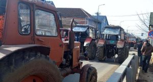 Ministarstvo poljoprivrede se oglasilo: Država uz stočare, da se situacija ne zloupotrebljava u političke svrhe 14