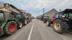 Umesto rešenja, od ministra dobili provokacije i neprimerena pitanja: Poljoprivrednik otkrio zašto su napustili sastanak sa Glamočićem 21 Umesto rešenja, od ministra dobili provokacije i neprimerena pitanja: Poljoprivrednik otkrio zašto su napustili sastanak sa Glamočićem 17