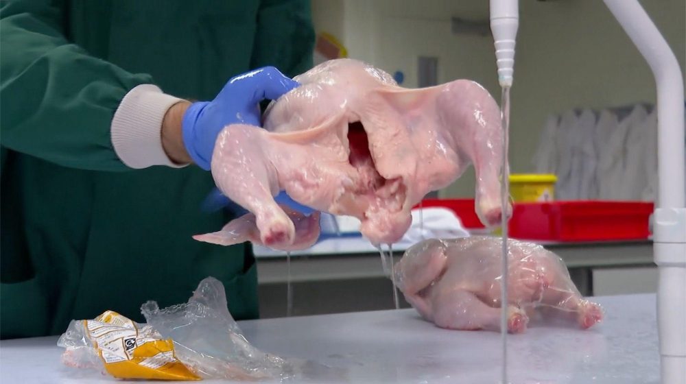 Pitanje koje je podelilo internet: Oprati ili ne oprati pile pre pečenja 7