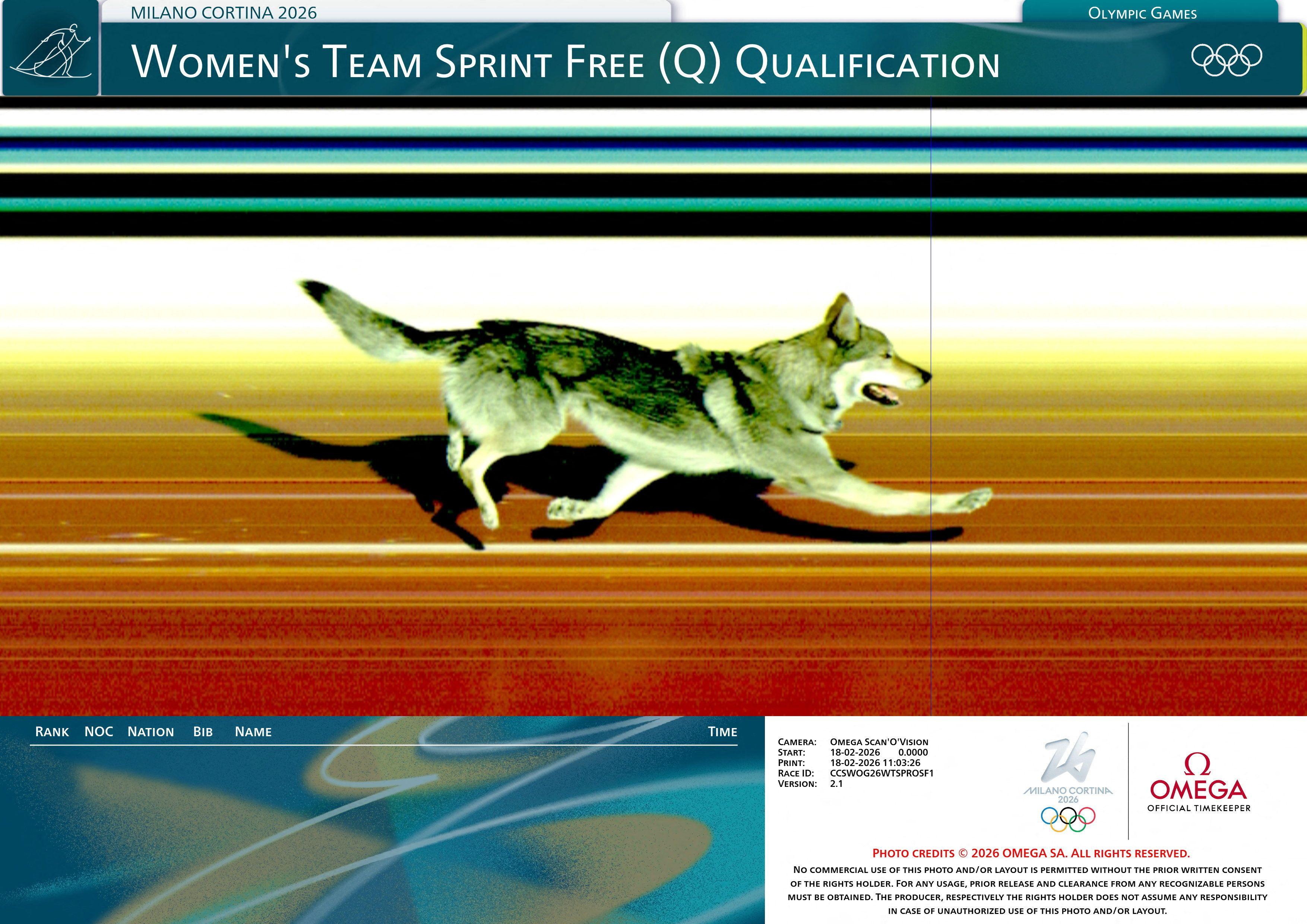 Zaslužio je olimpijsku medalju 2 Foto-finiš kamera snimila je psa kako prelazi ciljnu liniju nakon što je utrčao na stazu tokom takmičenja u nordijskom skijanju