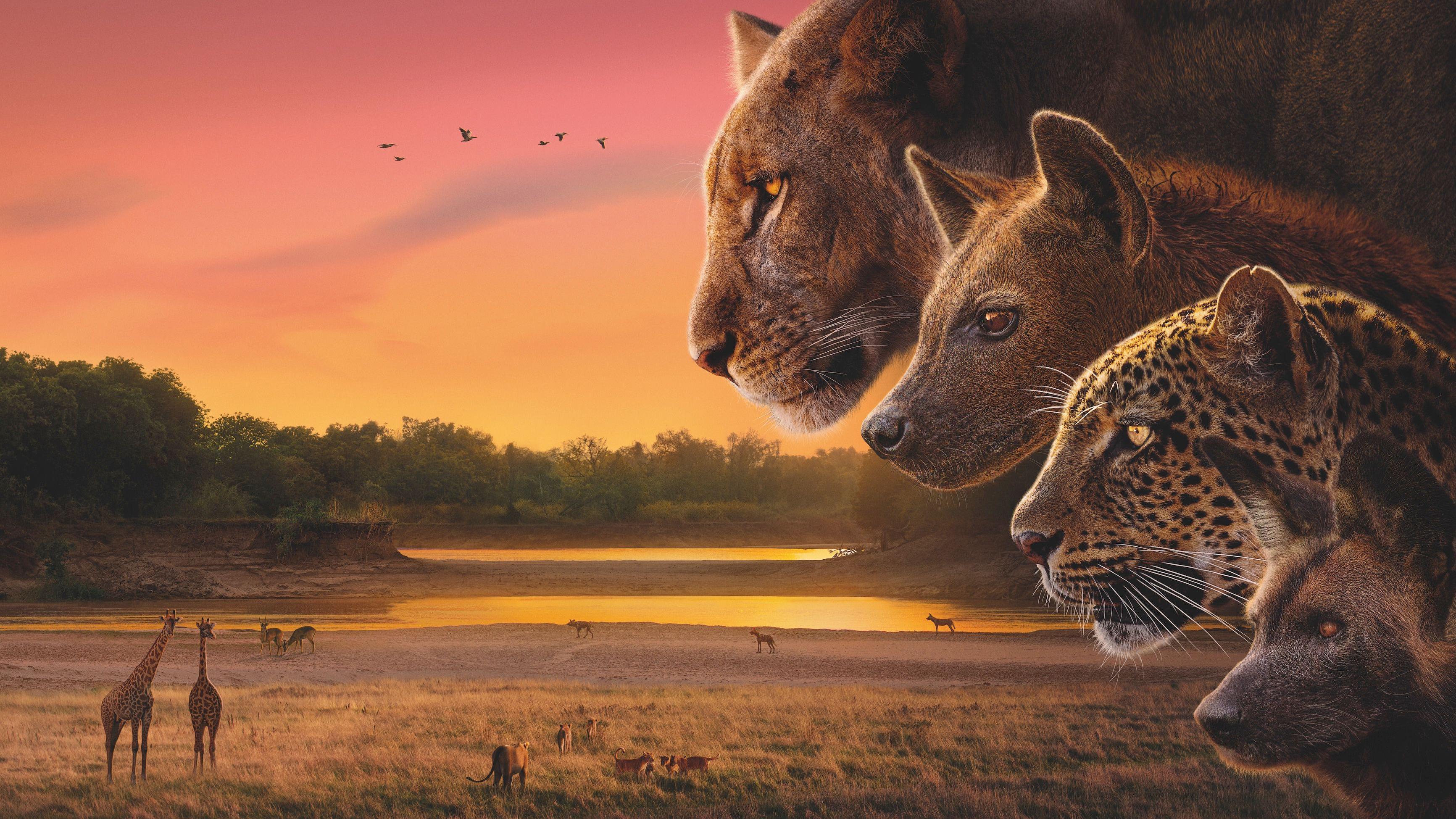 Junaci serije 'Kraljevstvo'