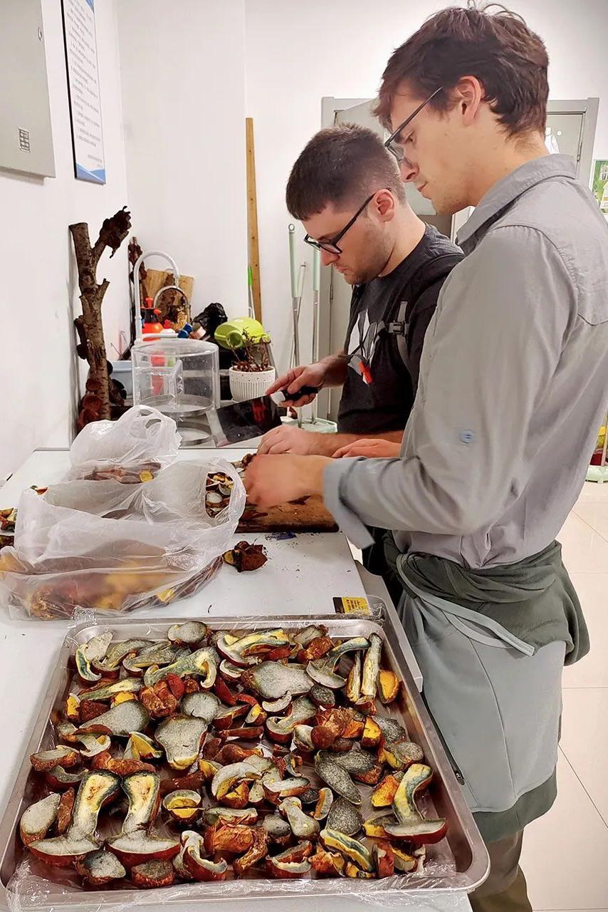 Dva muškarca, jedan u sivoj majici, a drugi u crnoj, gledaju u poslužavnik sa pečurkama u prostoriji sa belim zidovima