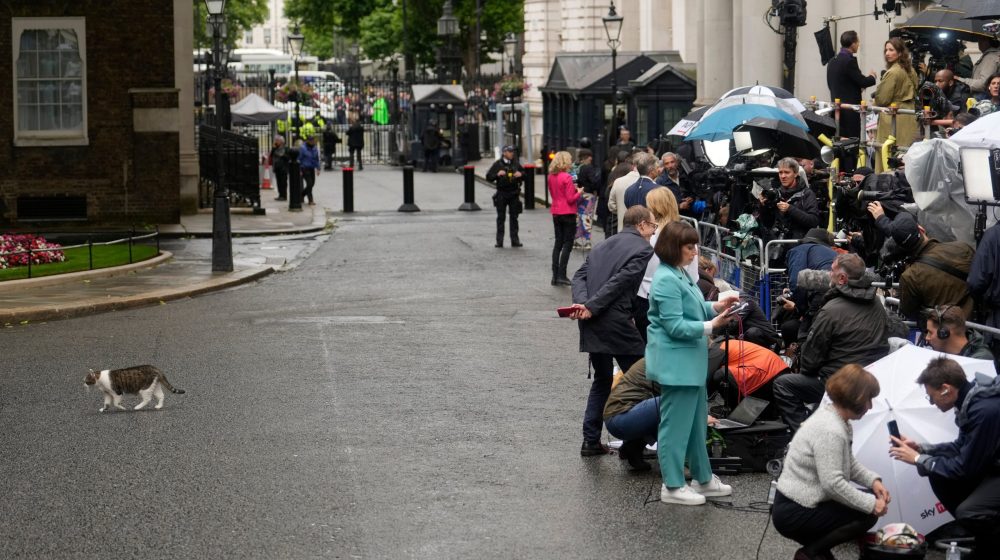 Glavni lovac na miševe britanskog Ministarstva spoljnih poslova uginuo kao konsultant na Bermudima 1