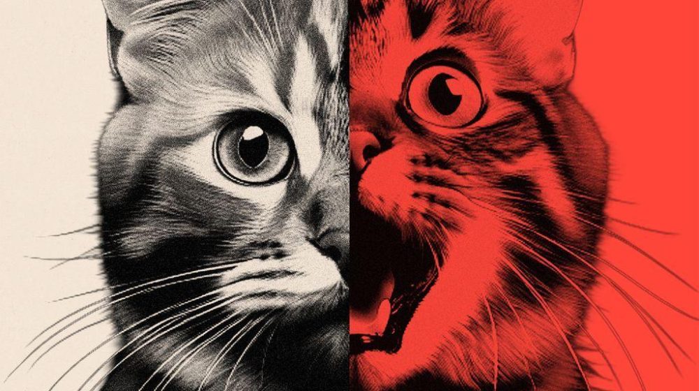 „Slop" sadržaj koji je stvorio AI menja društvene mreže, bes korisnika raste 8