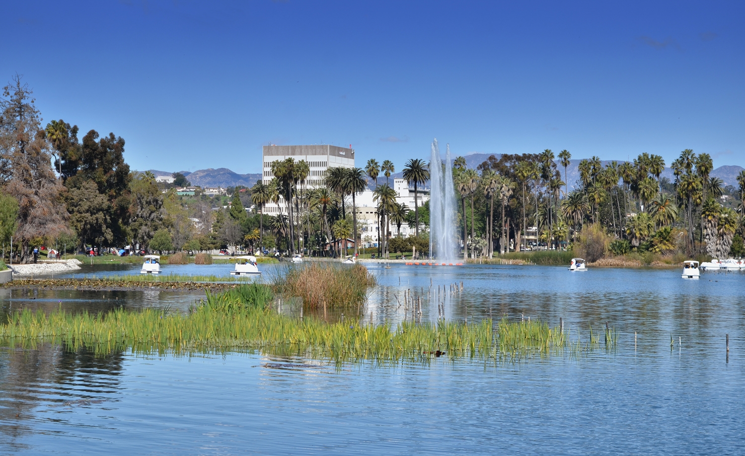 Los Anđeles bez iluzija: Autentično iskustvo sa ulica Grada anđela 4