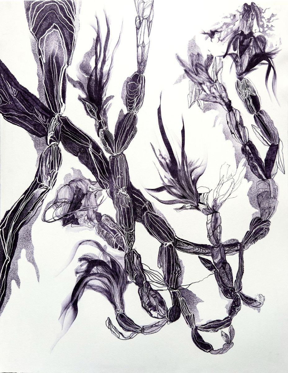 „Grafičke vizije 8": Savremena meksička grafika u Institutu Servantes 1