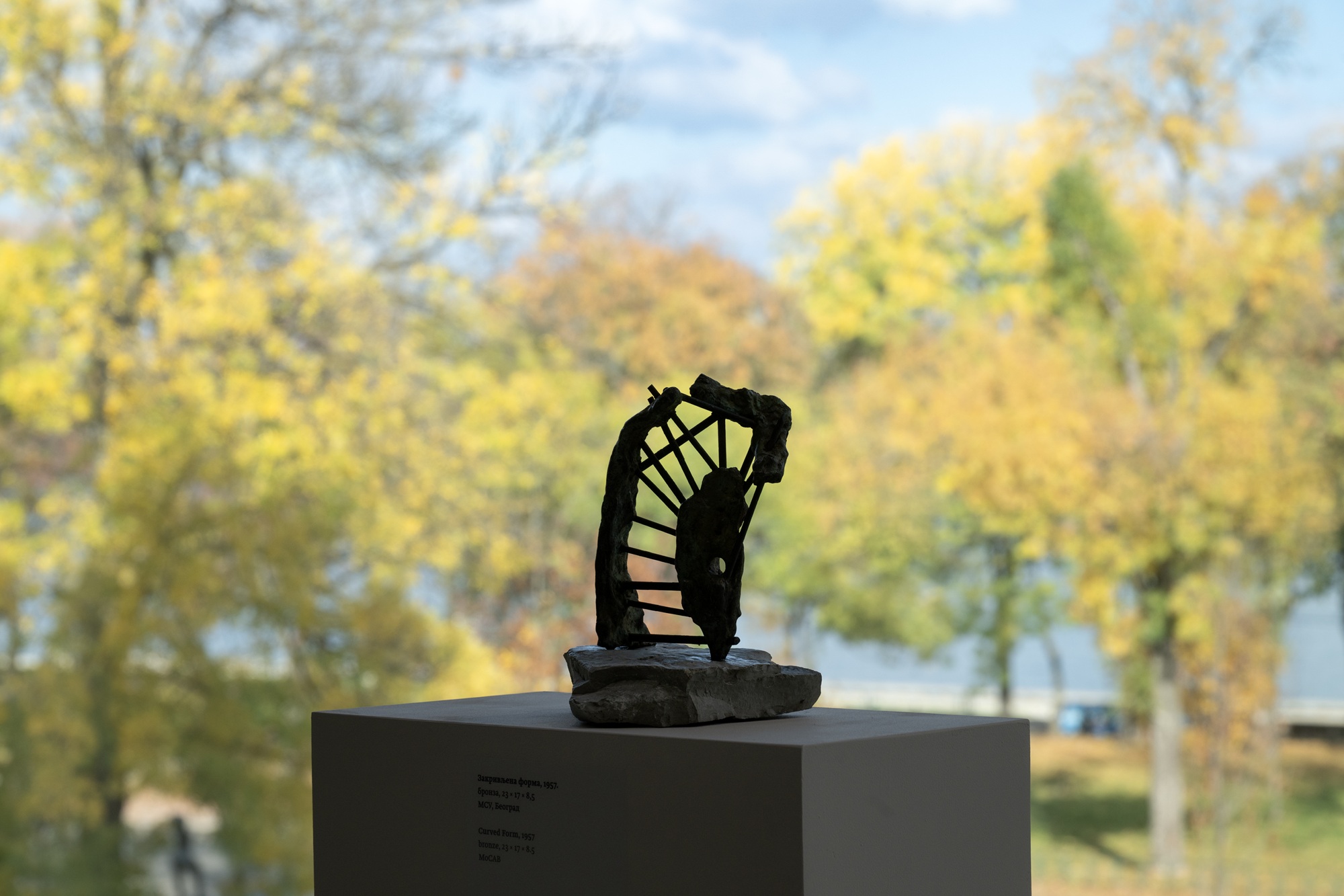 Program obeležavanja Dana državnosti u Muzeju savremene umetnosti u Beogradu i druga februarska javna vođenja i prateći programi 4