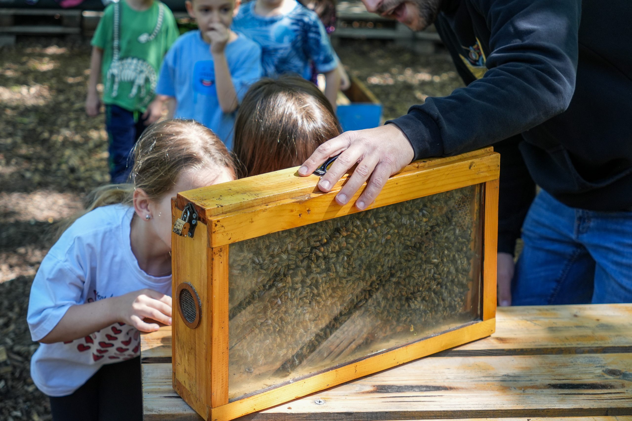 U susret proleću uz urbane oprašivače: Porodična radionica u Muzeju nauke i tehnike 1