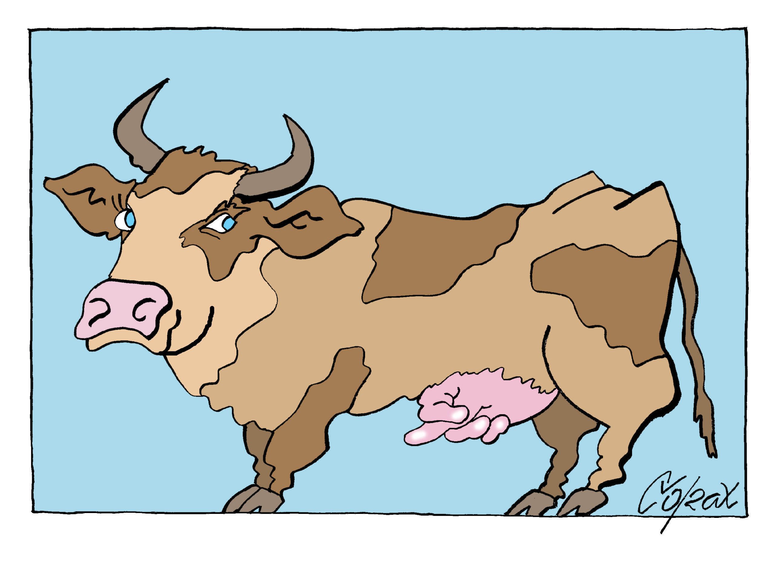 Corax za 13. februar 2026. 1