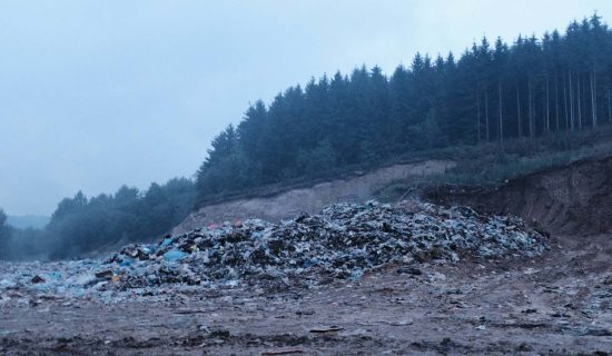Ne smemo ni da zamislimo šta se sve nalazi na dnu Dunava, Save, Drine i Morave: Stanje životne sredine dovedeno do apsurda 9