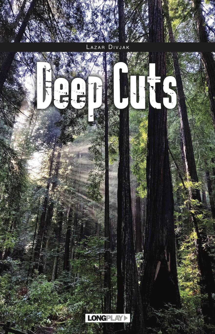 Promocija knjige „Deep Cuts“ Lazara Divjaka na Spratu 25. februara 2 deep cuts