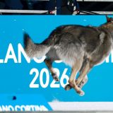 Čudne i divne priče sa Zimskih olimpijskih igara 8