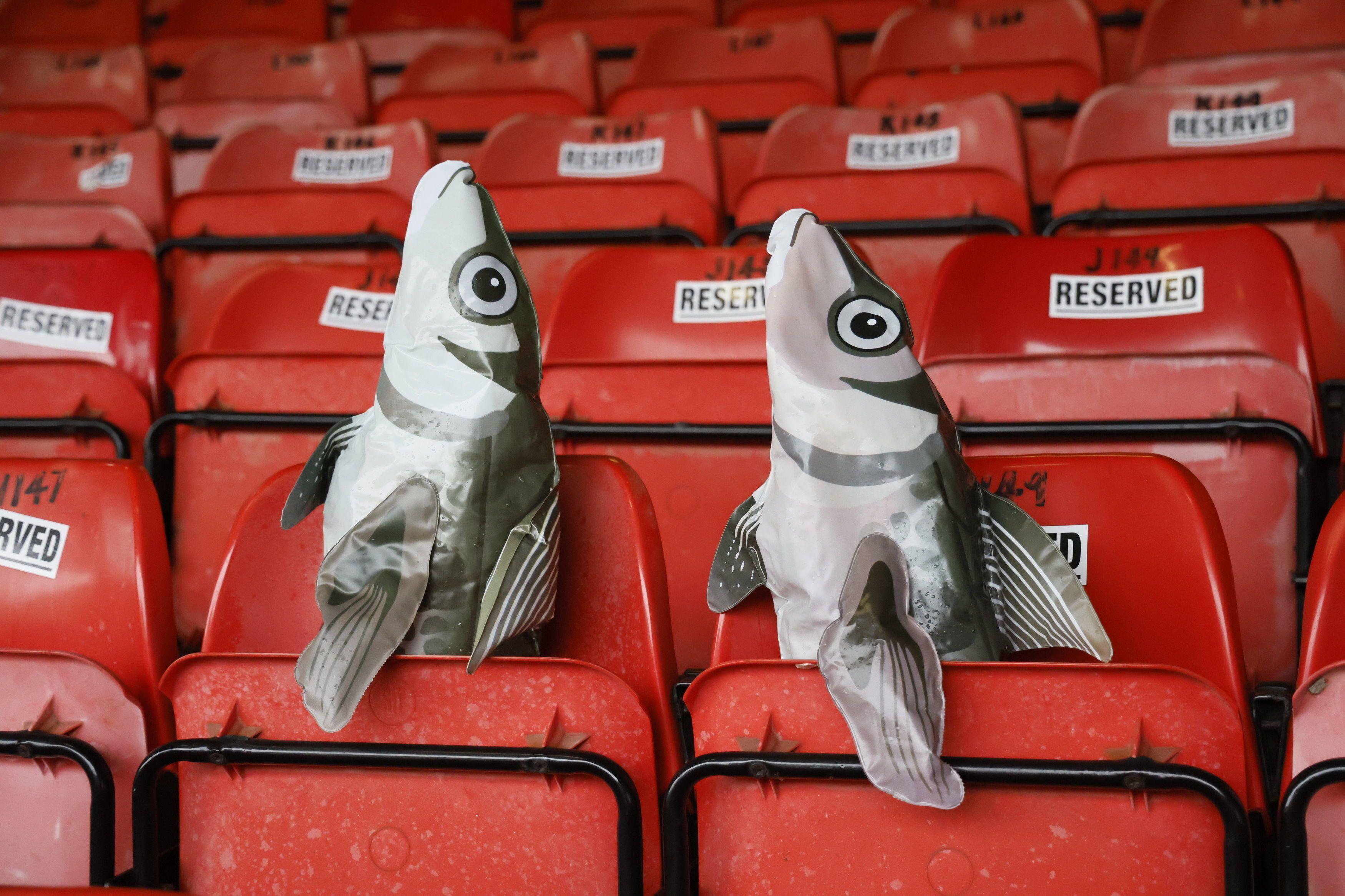 'Šmek prošlih vremena': Grimzbi i Vulfsi plesali po kaljuzi - u fotografijama 8 ribe na naduvavanje na stolicama na tribini fudbalskog stadiona