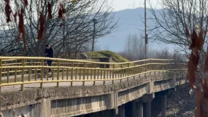 "Umesto zabrane korišćenja, gradonačelnik Niša poziva na video-bim": Bezbednost oštećenog Medoševačkog mosta pod znakom pitanja 2