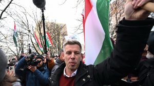 Peter Mađar, opozicija u Mađarskoj