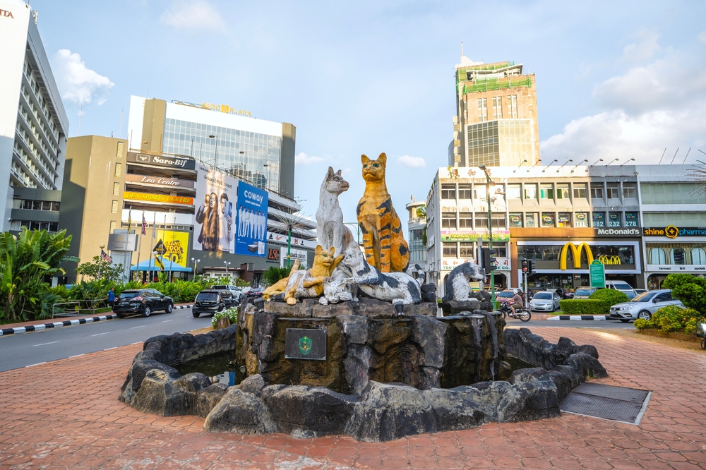 Ovi svetski gradovi imaju najviše uličnih mačaka - jedan je iz bivše Jugoslavije 4